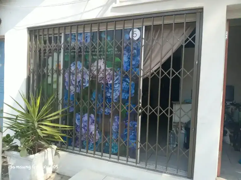 Window security bars with potted flowers in foreground